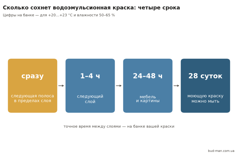 Четыре срока высыхания водоэмульсионной краски: в пределах слоя, следующий слой, мебель, мытьё
